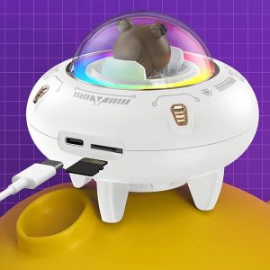 Garso_kolonele_vaikiska