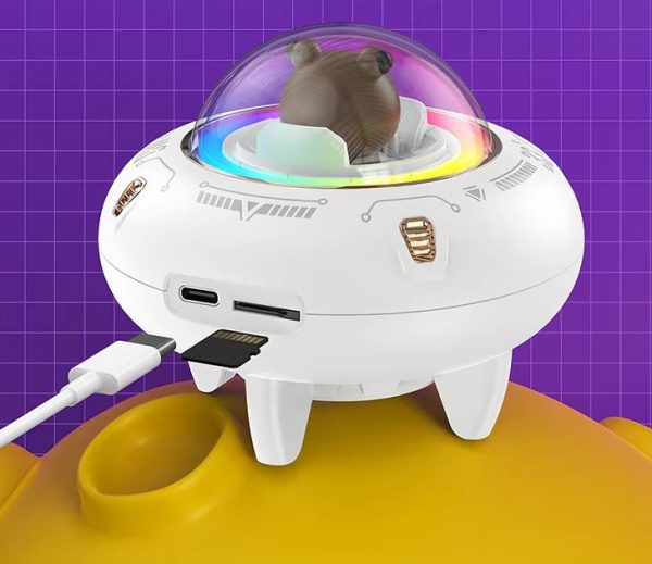 Garso_kolonele_vaikiska