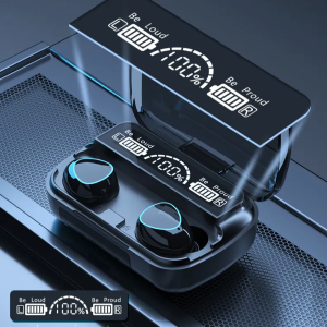 Belaides_ausines_M10