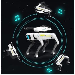 ismanus robotas suo