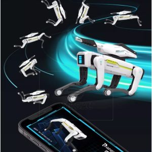 ismanus robotas suo